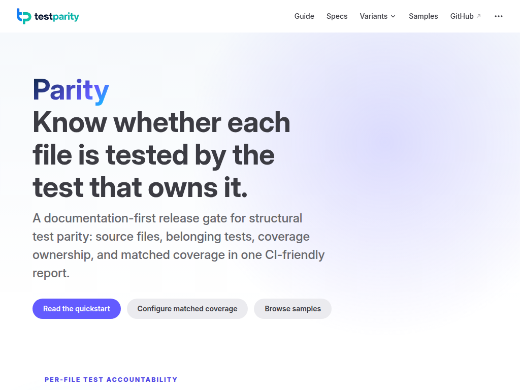 testparity.com website and documentation screenshot